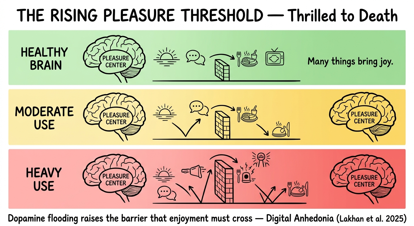 Whiteboard diagram showing Hart's rising pleasure threshold: healthy brain where many everyday experiences bring joy, moderate use where the threshold rises and some pleasures fall short, and heavy use where almost nothing registers