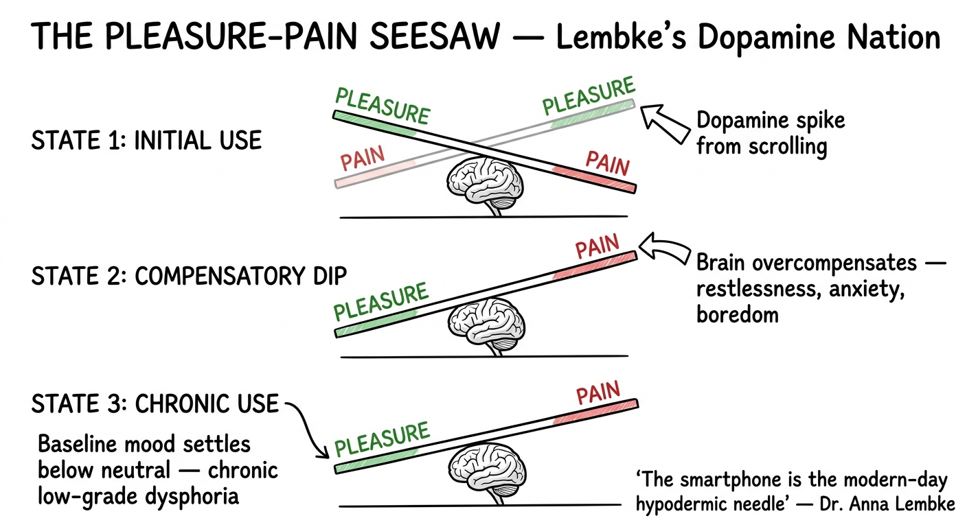 Whiteboard diagram showing Lembke's pleasure-pain seesaw in three states: initial use tilted toward pleasure, compensatory dip tilted toward pain, and chronic use where the baseline permanently shifts toward pain